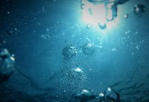 Water’s Mysteries… ~ Hope Fitzgerald bubbles going upwards on a body of water