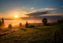 October Ascension Energies – Internal Sun ~ Jamye Price trees under cloudy sky during sunset