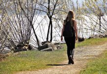 Healing is a Solo Journey ~ Audrey Colette beach, she, lake, nature, outside, lawn, landscape, loneliness, way, environment, solo, beautiful, adult, one, season, people, park, plants, spring, green, view, plant, morning, yellow, park zamosc, tourism, rocks, panorama, sightseeing, mood, scenically, rest, the high tatras, relax, water, bodensee, walk, girl, backpack, solo, solo, solo, solo, solo, backpack