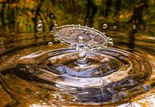 The New Downloads Humanity is Receiving ∞ by Daniel Scranton drop, splash, free wallpaper, water, liquid, wallpaper, 4k wallpaper 1920x1080, desktop backgrounds, background, beautiful nature, wallpaper hd, laptop wallpaper, mac wallpaper, 4k wallpaper, water, nature background, water, water, beautiful wallpaper, water, free background, nature wallpaper, nature, cool backgrounds, water, windows wallpaper, wallpaper, full hd wallpaper, wallpaper, hd wallpaper, wallpaper, wallpaper, wallpaper 4k, background