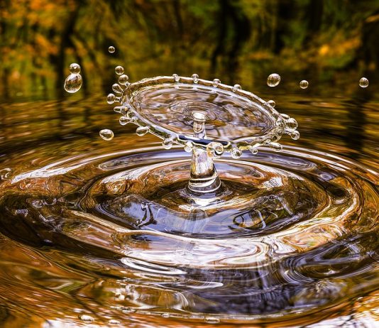 The New Downloads Humanity is Receiving ∞ by Daniel Scranton drop, splash, free wallpaper, water, liquid, wallpaper, 4k wallpaper 1920x1080, desktop backgrounds, background, beautiful nature, wallpaper hd, laptop wallpaper, mac wallpaper, 4k wallpaper, water, nature background, water, water, beautiful wallpaper, water, free background, nature wallpaper, nature, cool backgrounds, water, windows wallpaper, wallpaper, full hd wallpaper, wallpaper, hd wallpaper, wallpaper, wallpaper, wallpaper 4k, background