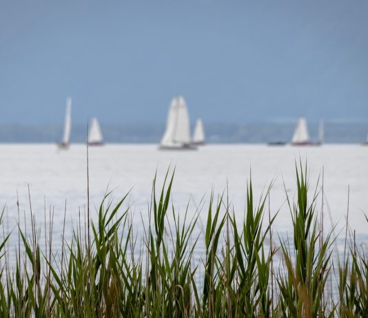 Embody Your Eternal Divinity by Mary Magdalene – Natalie Glasson sailboats, lake, boats, grass, sail, trip, water, nature, sports, leisure time, water sports, regatta, grass, grass, grass, grass, grass, sail, trip, regatta