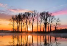 Galactic Light Codes from The Arcturians ∞The 9D Arcturian Council ∞ by Daniel Scranton lake, nature, landscape, water, sunset, reflection, pond, peace, trees, clouds, sky, scenic, twilight, dusk, mist, fog, calm, relaxing, copy space, ai generated, greetinng card