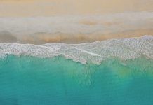 The Power of Gratitude in Everyday Life ~ Shanta Gabriel Turquoise ocean waves gently crash on a sandy beach.